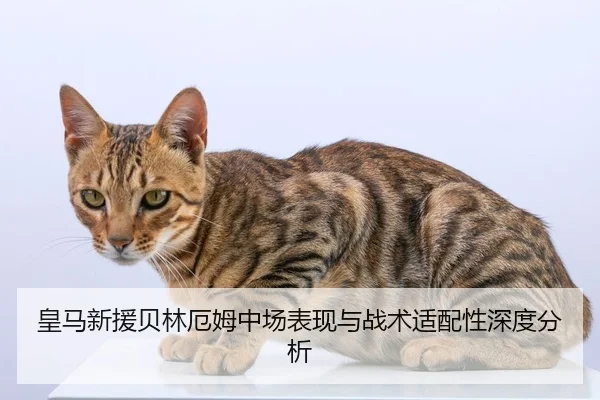 皇马新援贝林厄姆中场表现与战术适配性深度分析